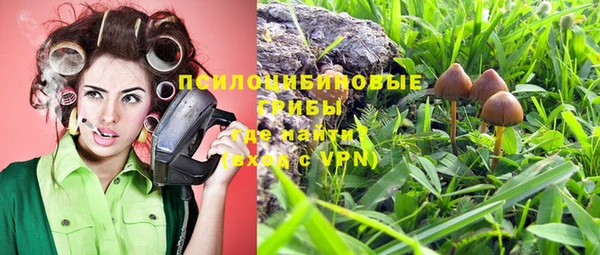 ПСИЛОЦИБИНОВЫЕ ГРИБЫ Бронницы