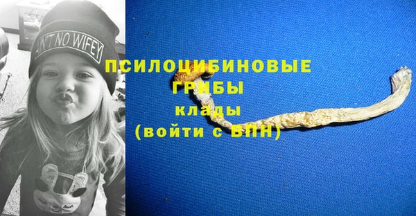 гидропоника Бугульма