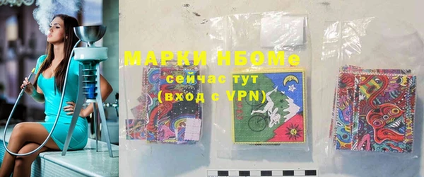 амф Верхний Тагил